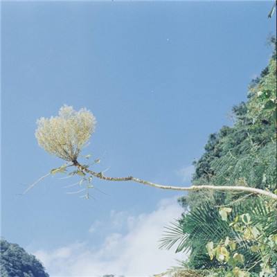 销魂手秒你喔游戏下载
